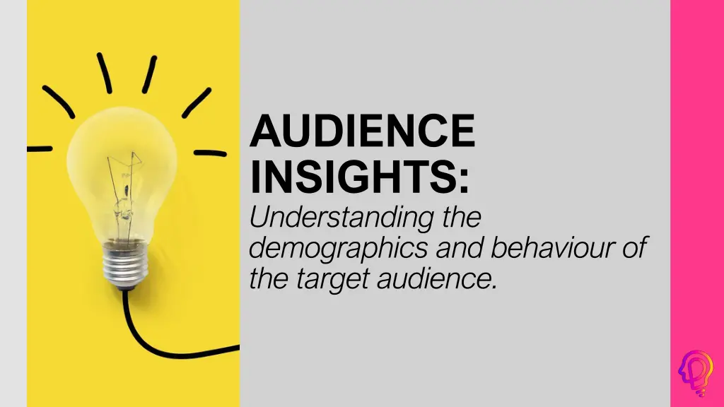 audience insights understanding the demographics