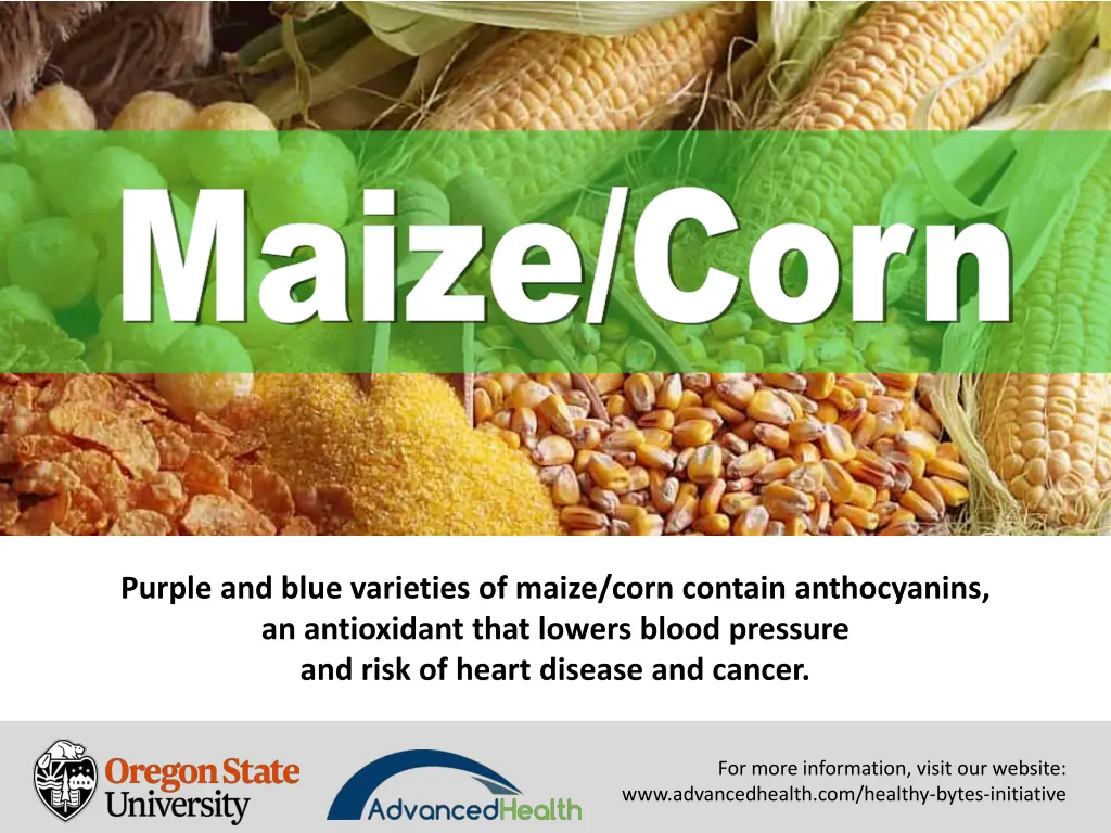 maize corn maize corn 5