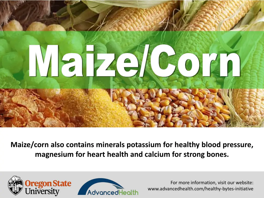 maize corn maize corn 6