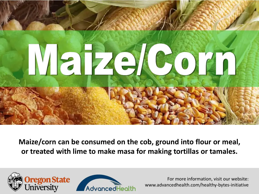 maize corn maize corn 7