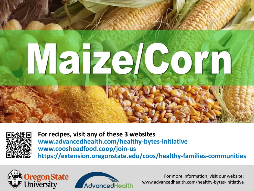 maize corn maize corn 8