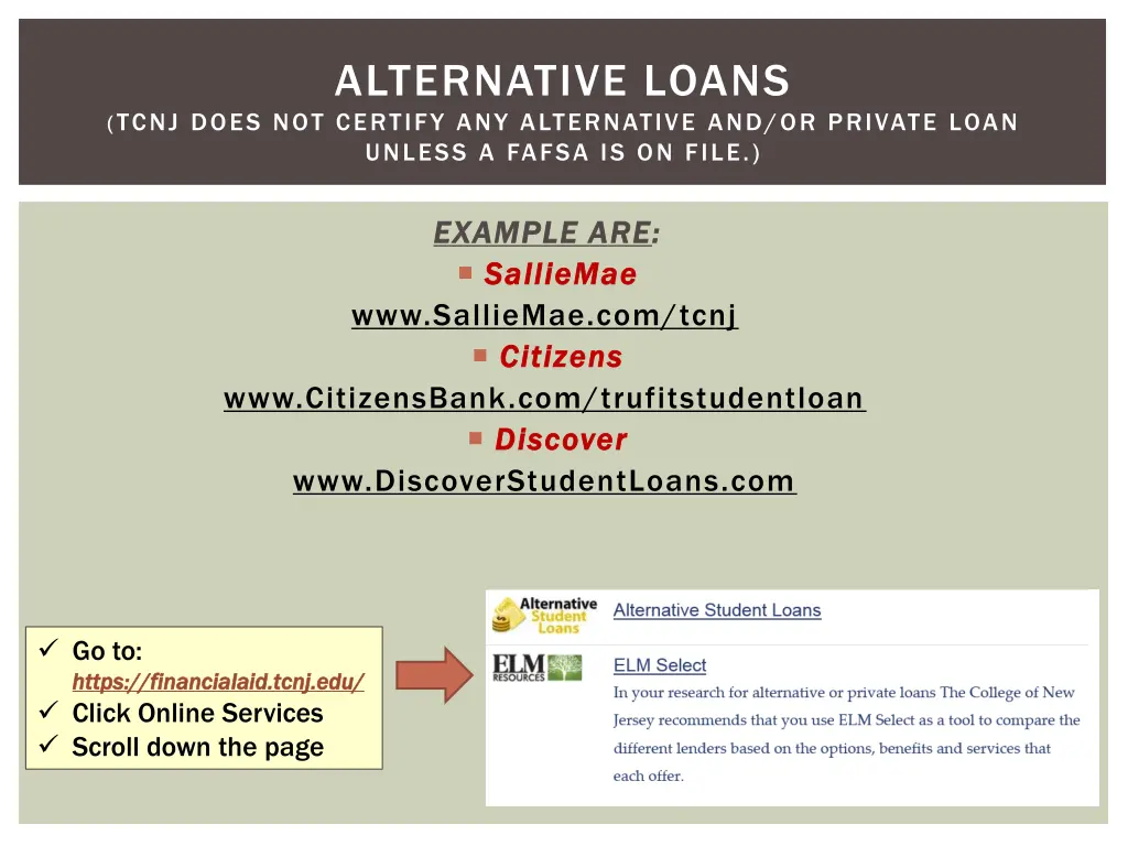 alternative loans