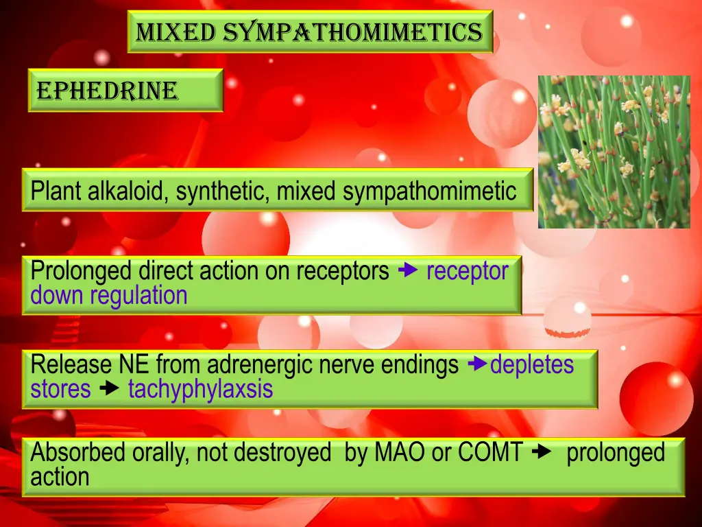 mixed sympathomimetics