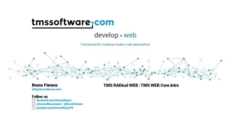 bruno fierens info@tmssoftware com