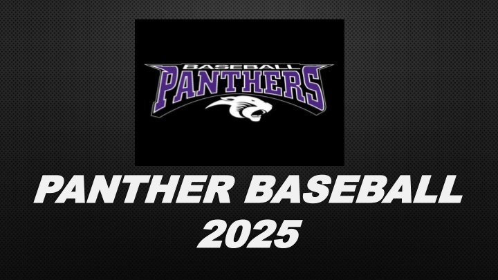 panther panther baseball baseball 2025 2025