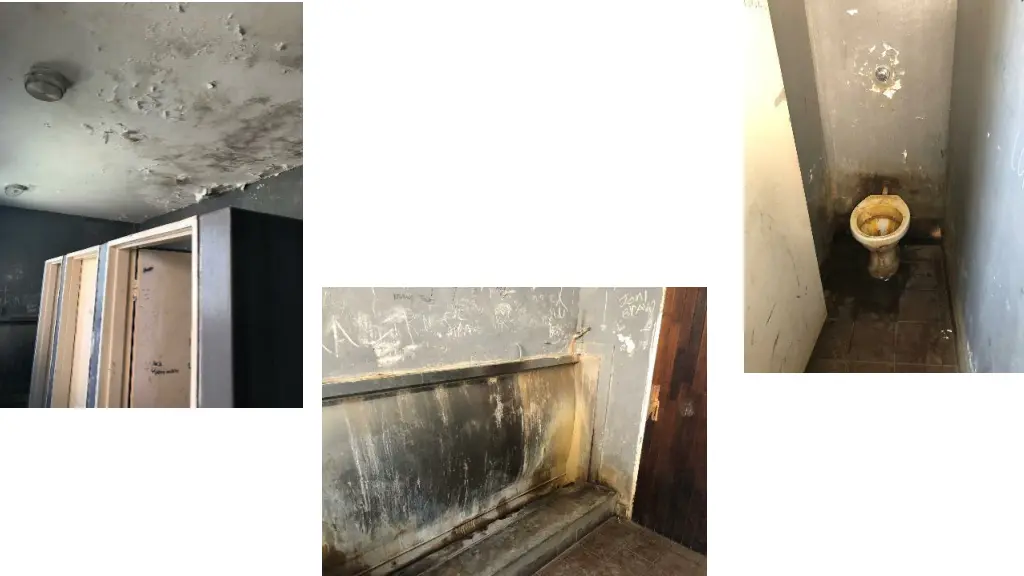 slide4