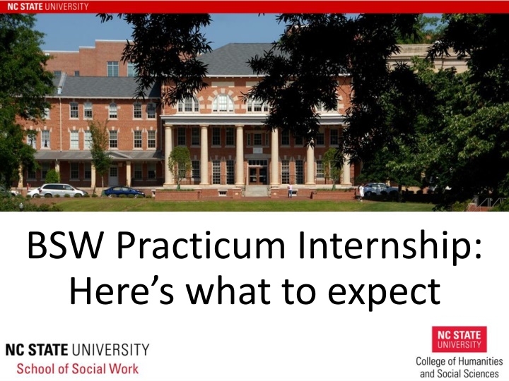 bsw practicum internship here s what to expect