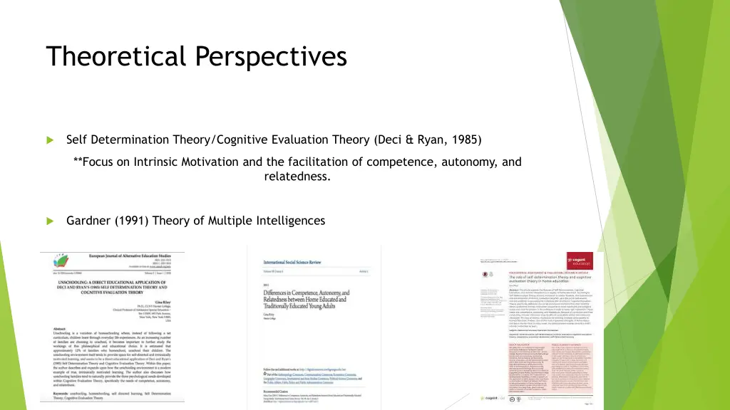 theoretical perspectives