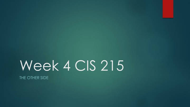 week 4 cis 215 the other side