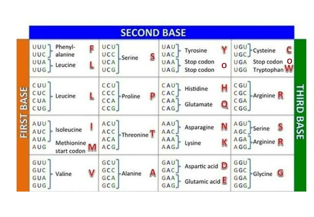 slide6