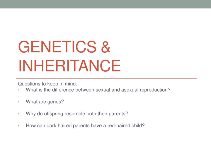 genetics inheritance