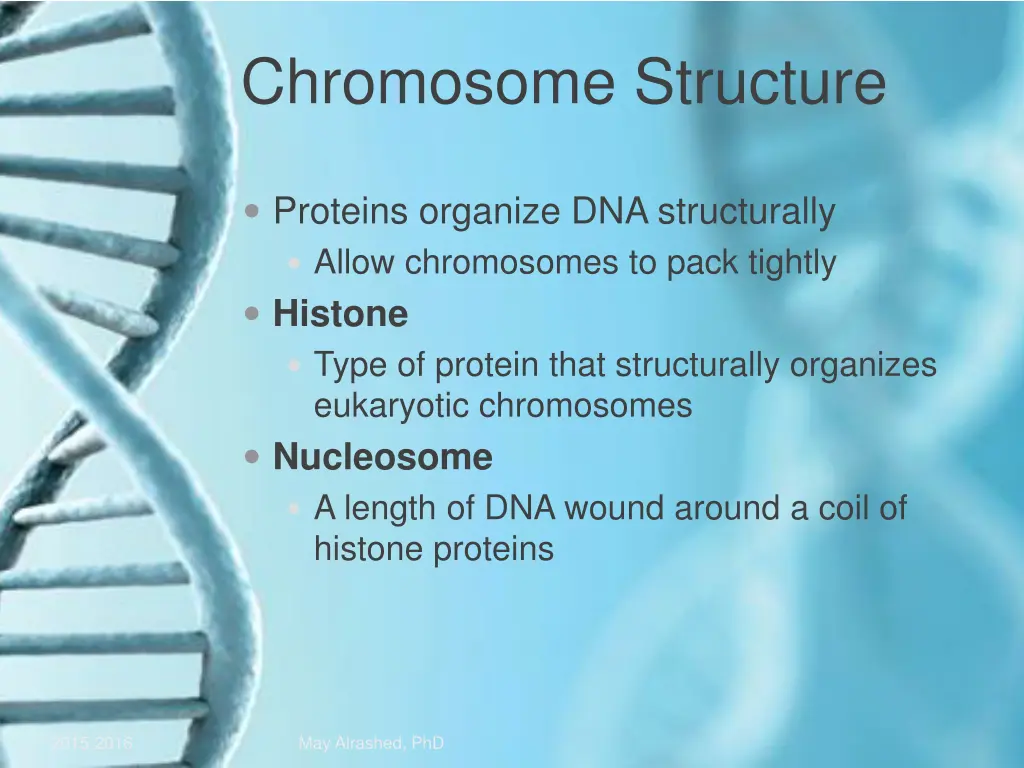 chromosome structure