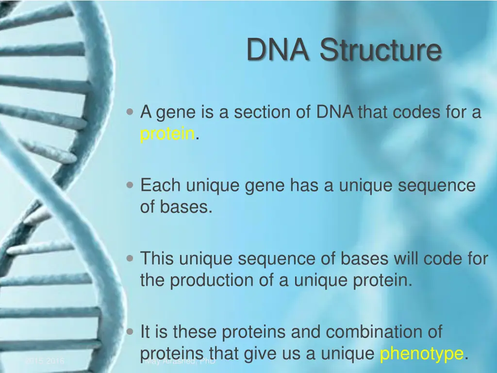 dna structure 2