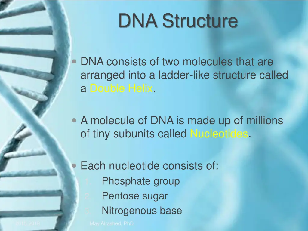 dna structure