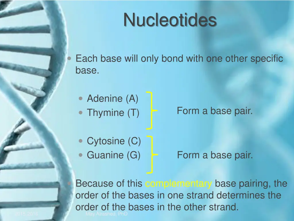 nucleotides 3
