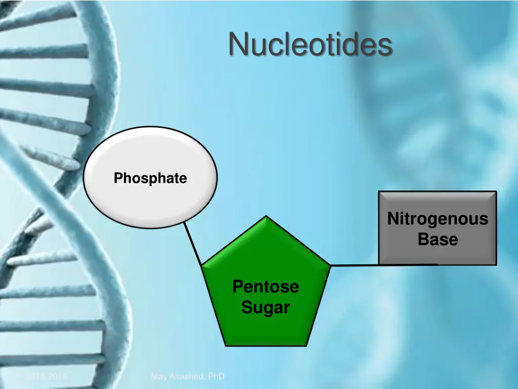 nucleotides