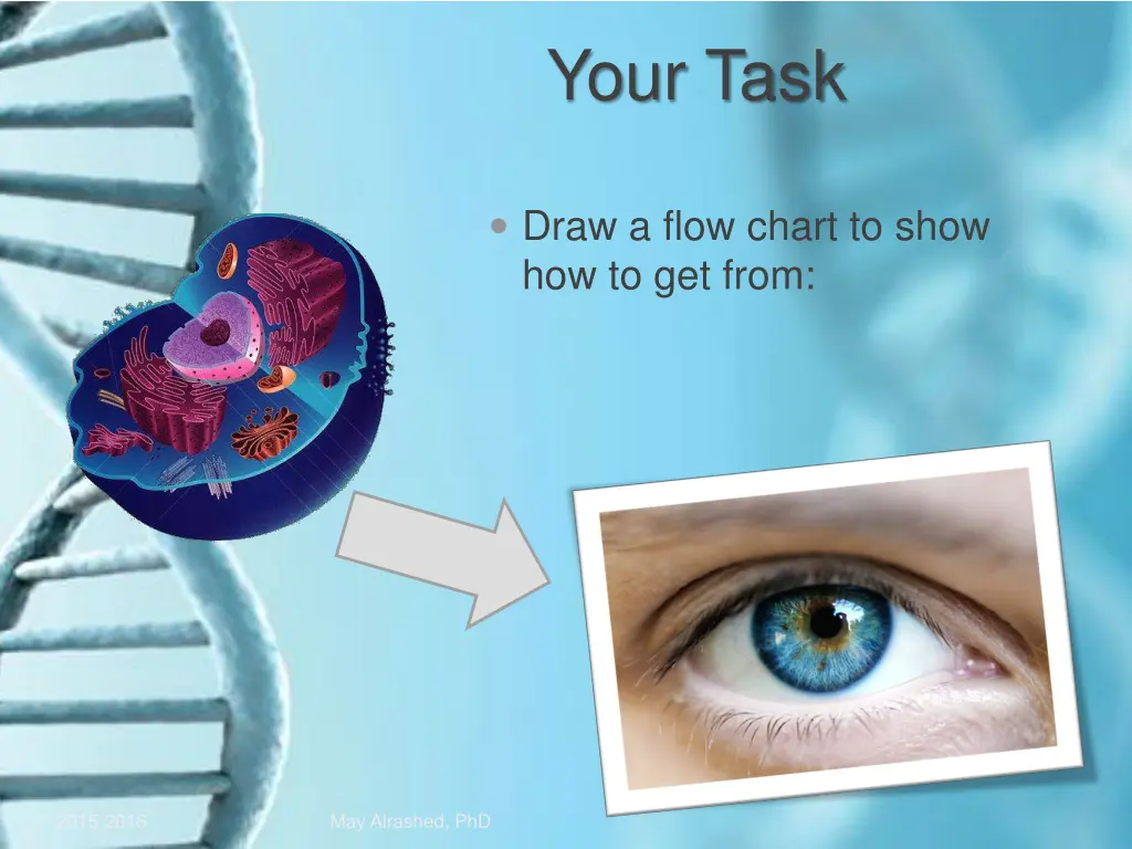 your task