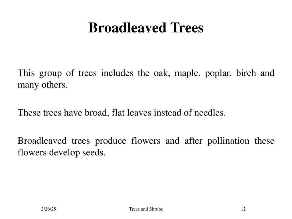 broadleaved trees