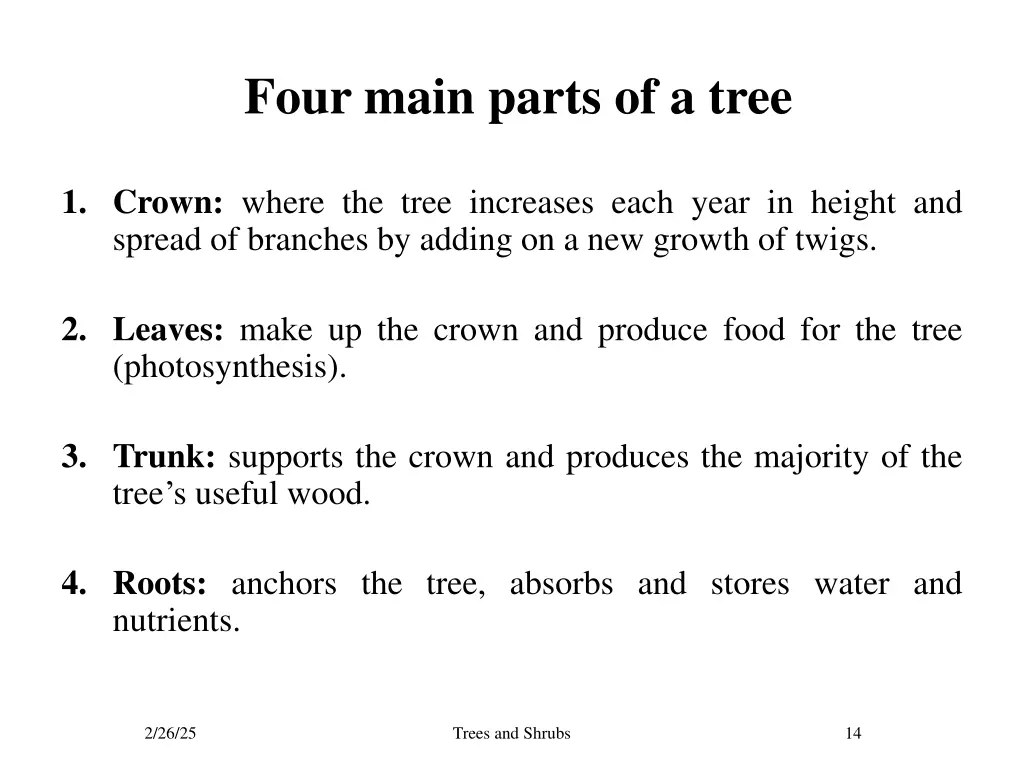 four main parts of a tree