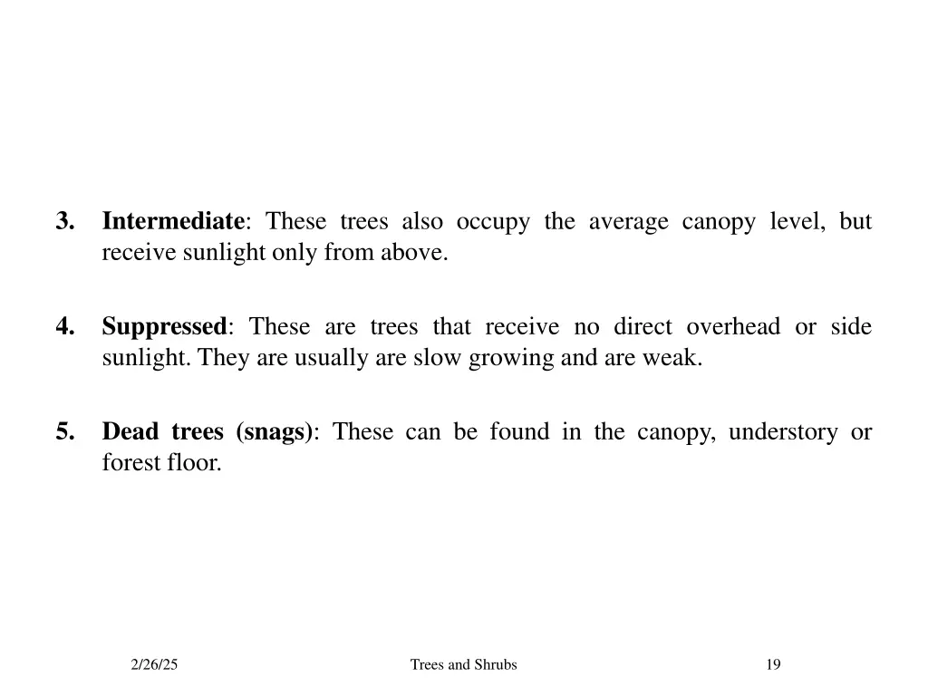 slide19