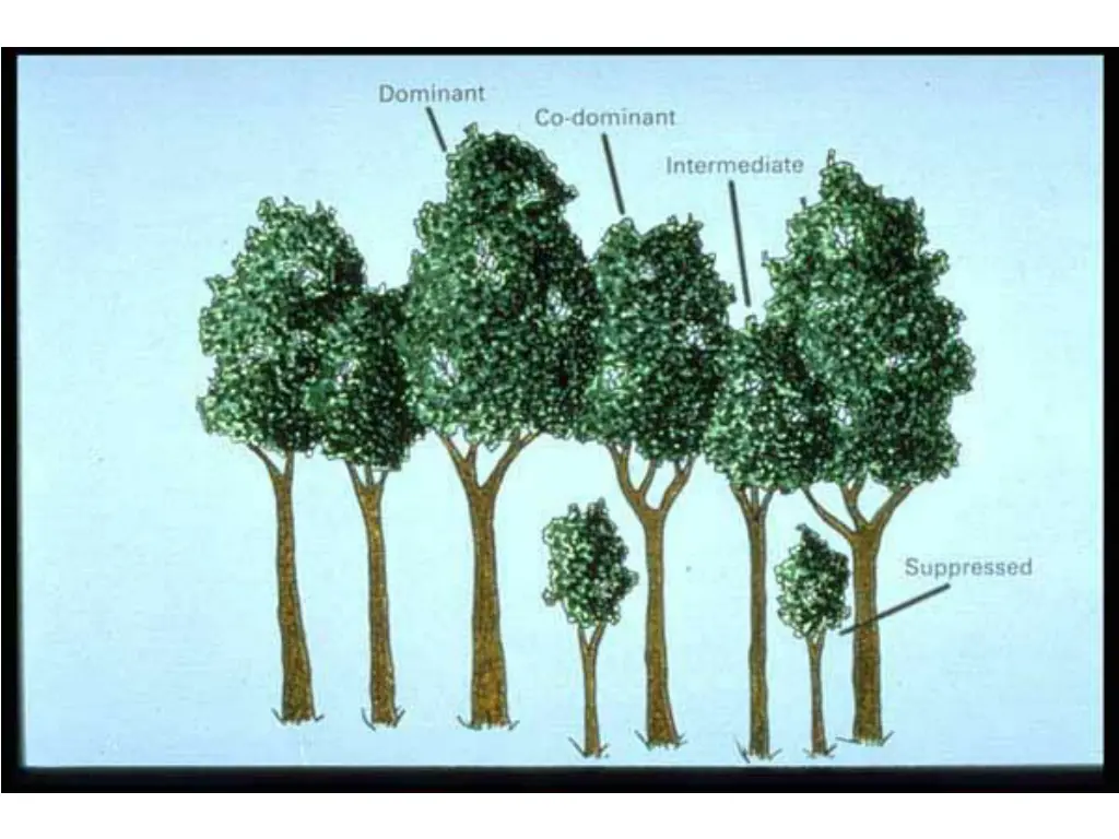 slide20