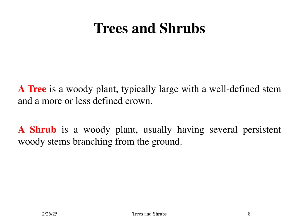 trees and shrubs