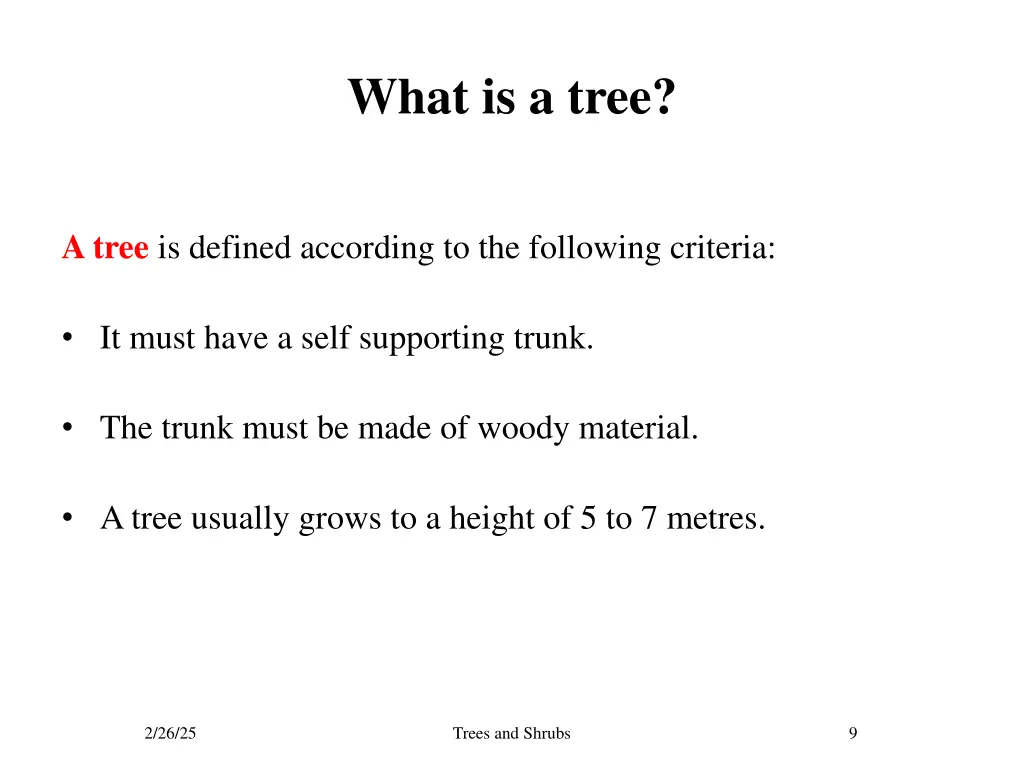 what is a tree