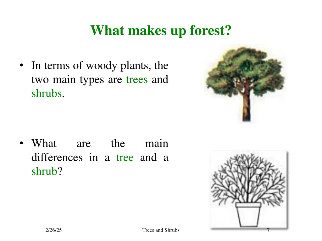 what makes up forest