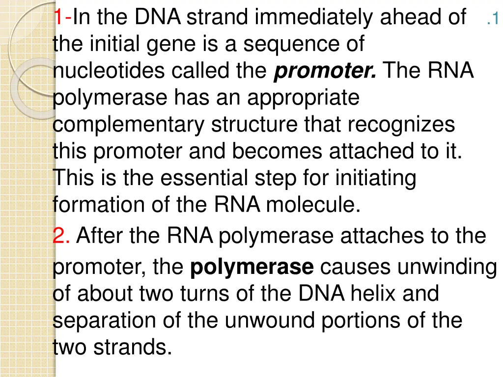 1 in the dna strand immediately ahead