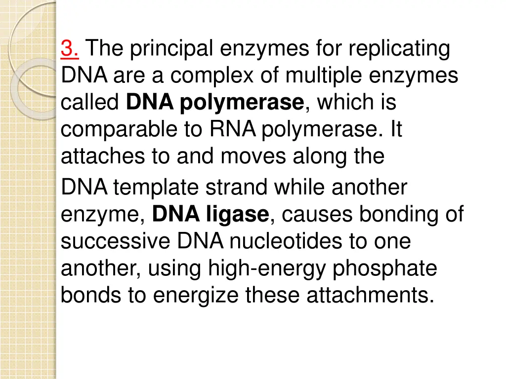 3 the principal enzymes for replicating