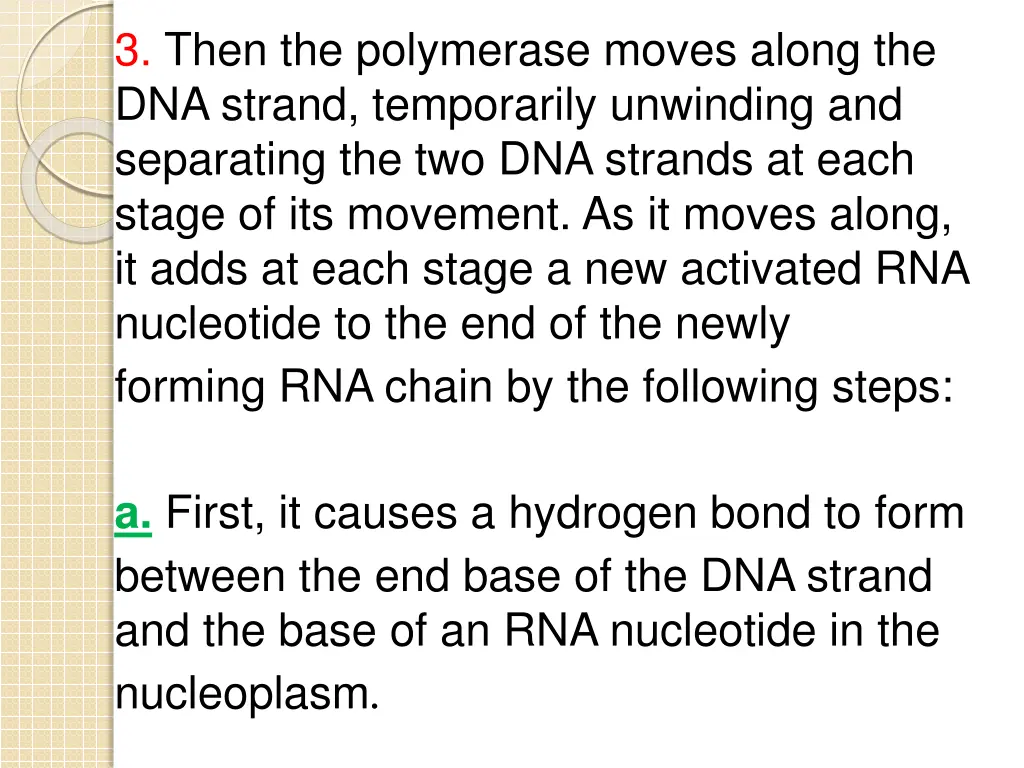 3 then the polymerase moves along the dna strand