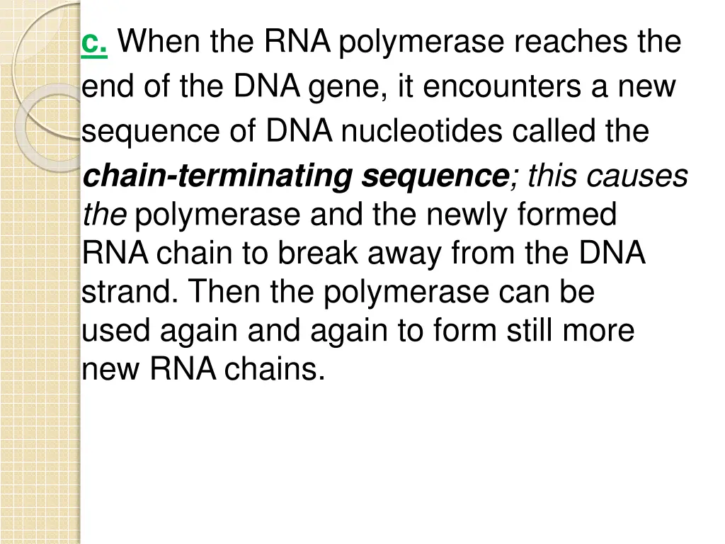 c when the rna polymerase reaches