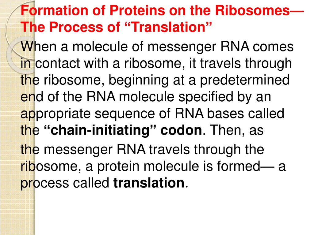 formation of proteins on the ribosomes