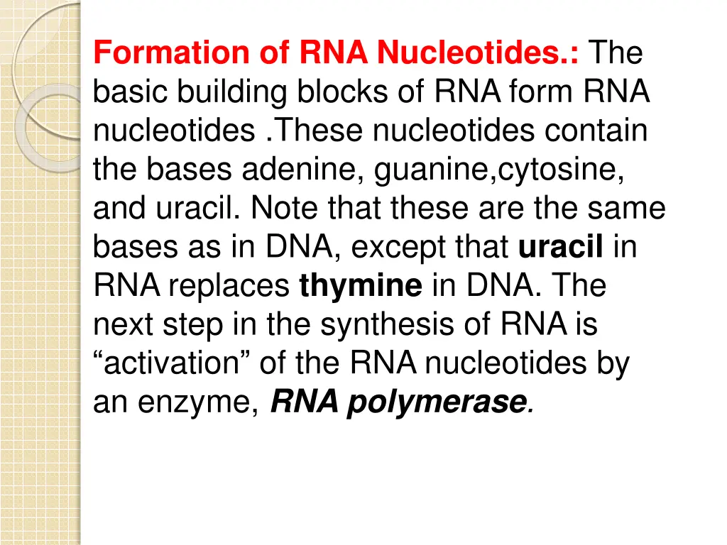 formation of rna nucleotides the basic building