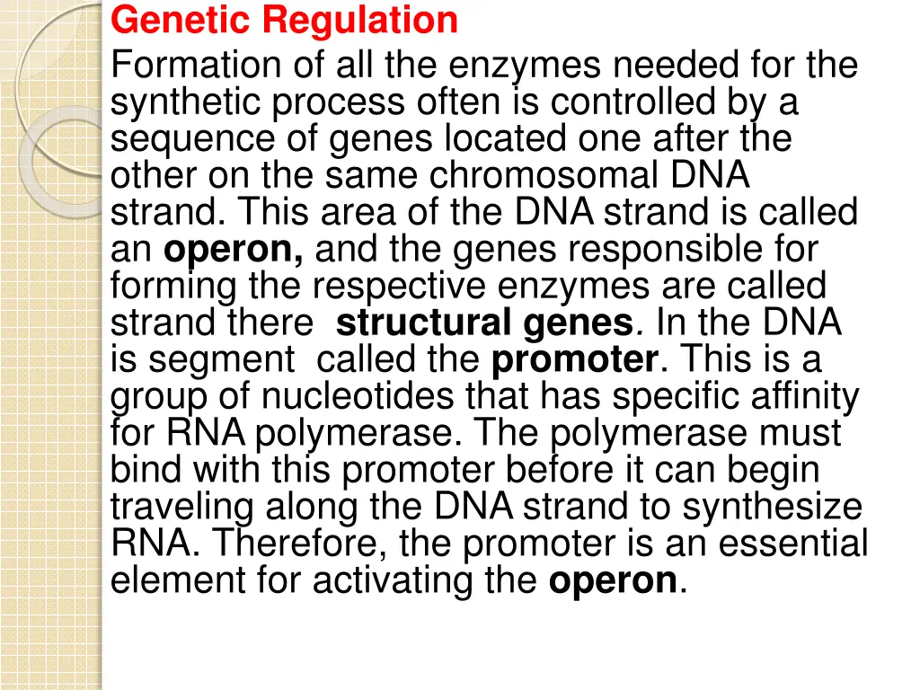 genetic regulation formation of all the enzymes