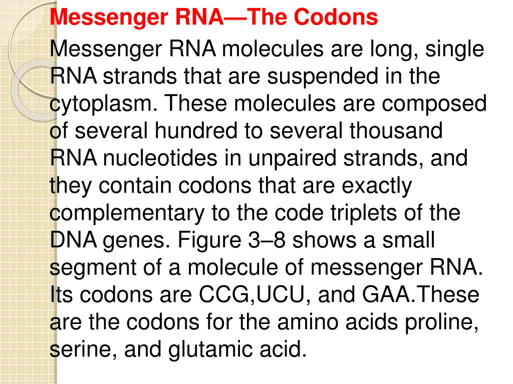 messenger rna the codons messenger rna molecules