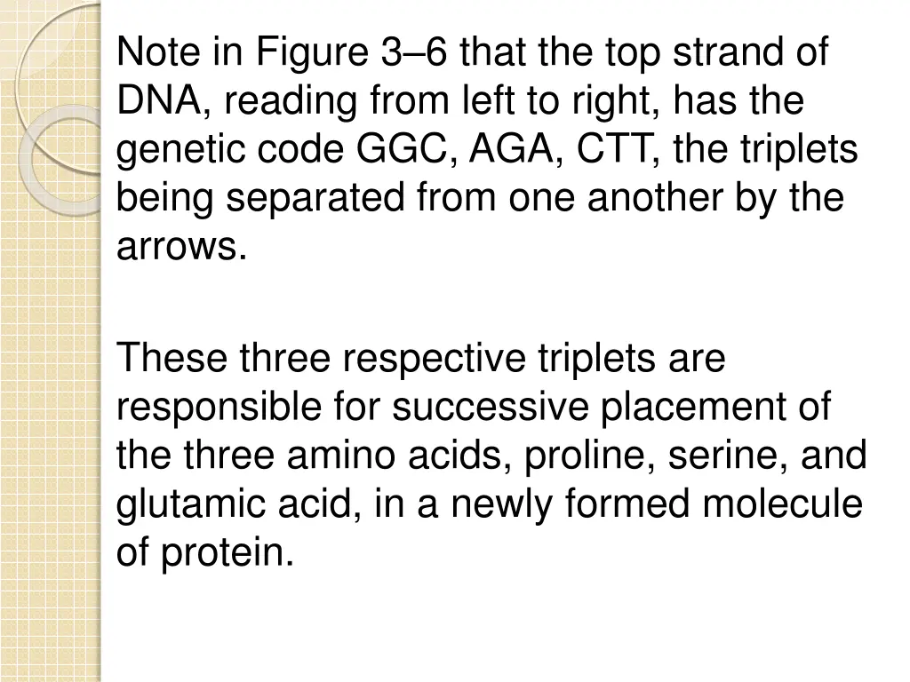 note in figure 3 6 that the top strand