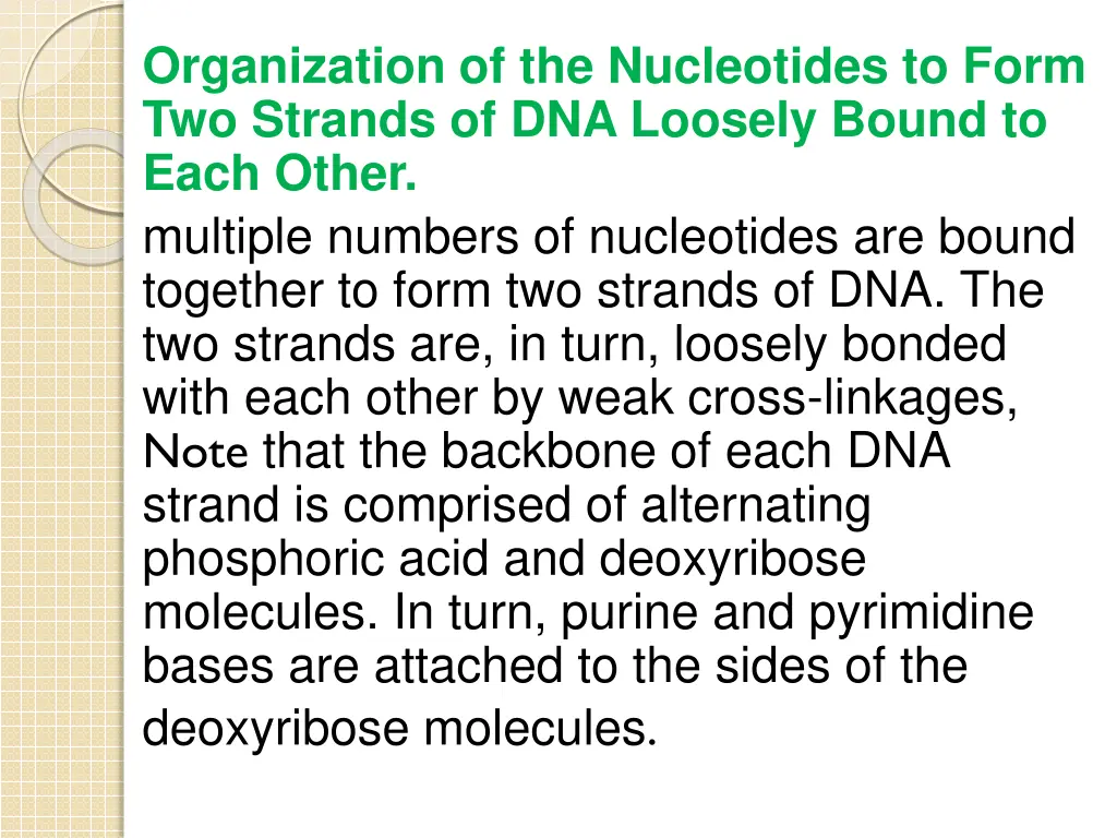 organization of the nucleotides to form