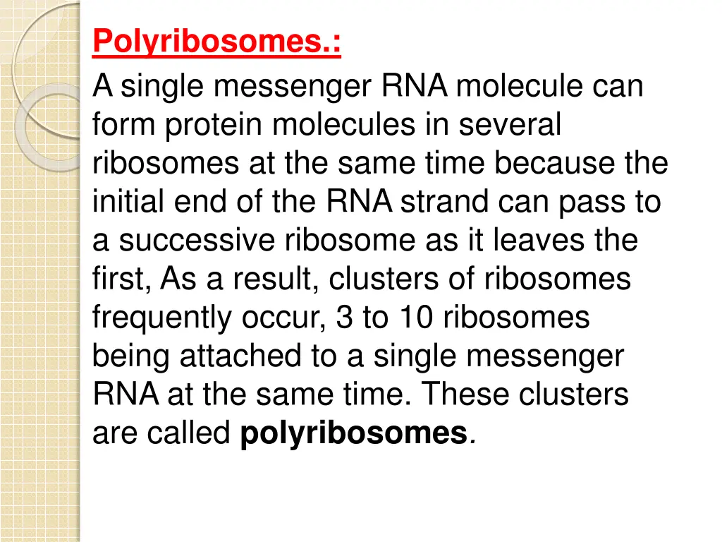 polyribosomes a single messenger rna molecule