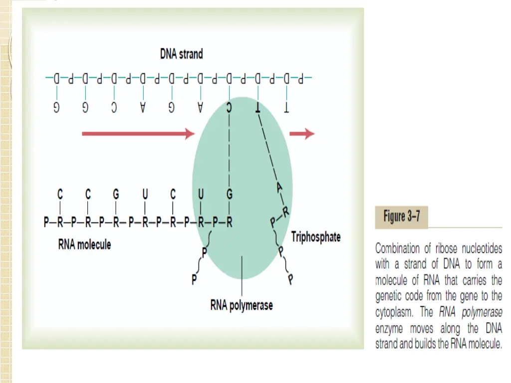 slide23
