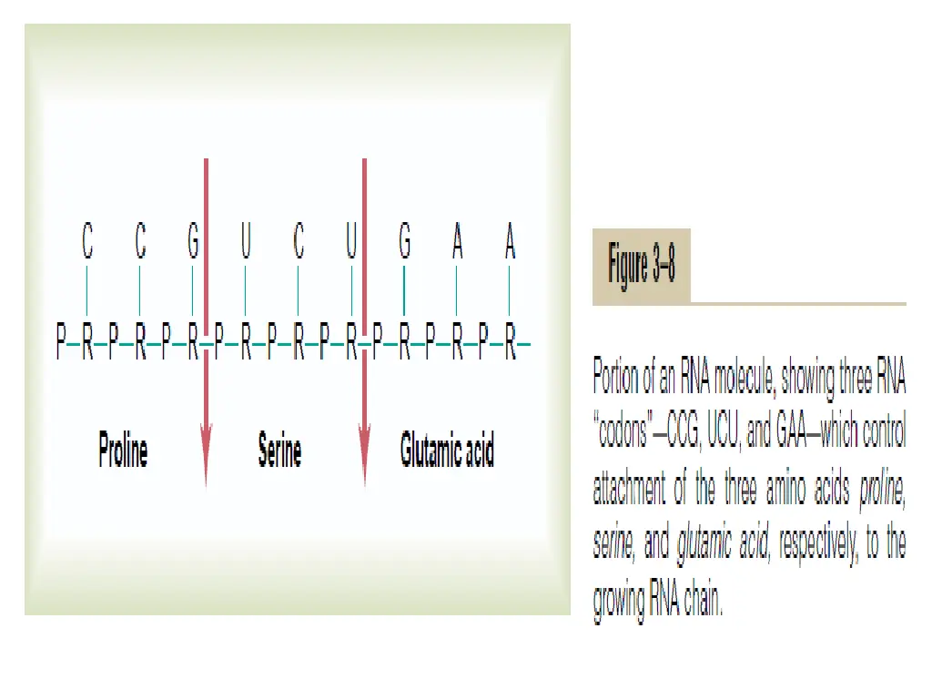 slide26