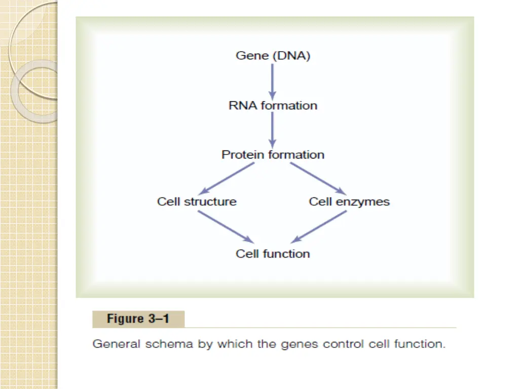 slide3
