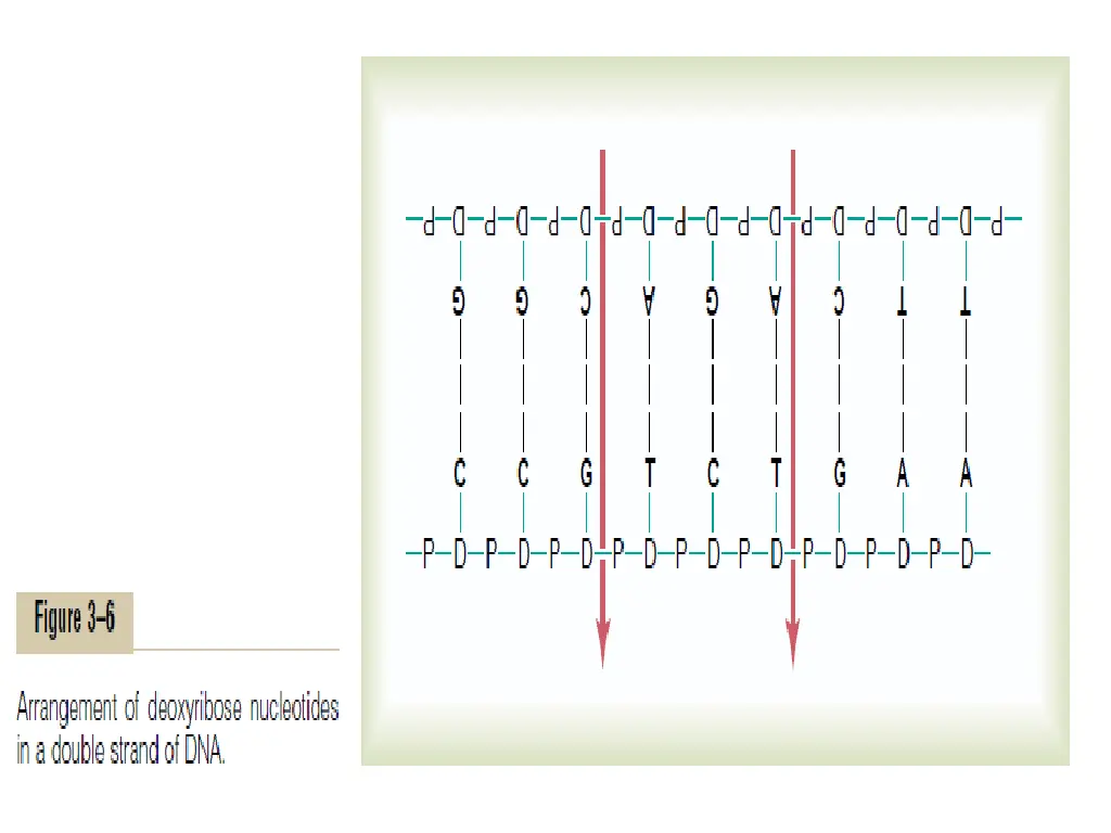 slide8