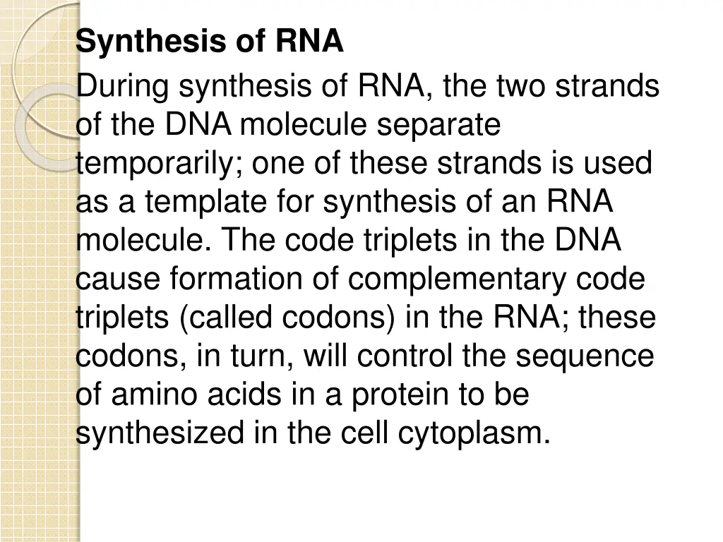 synthesis of rna during synthesis