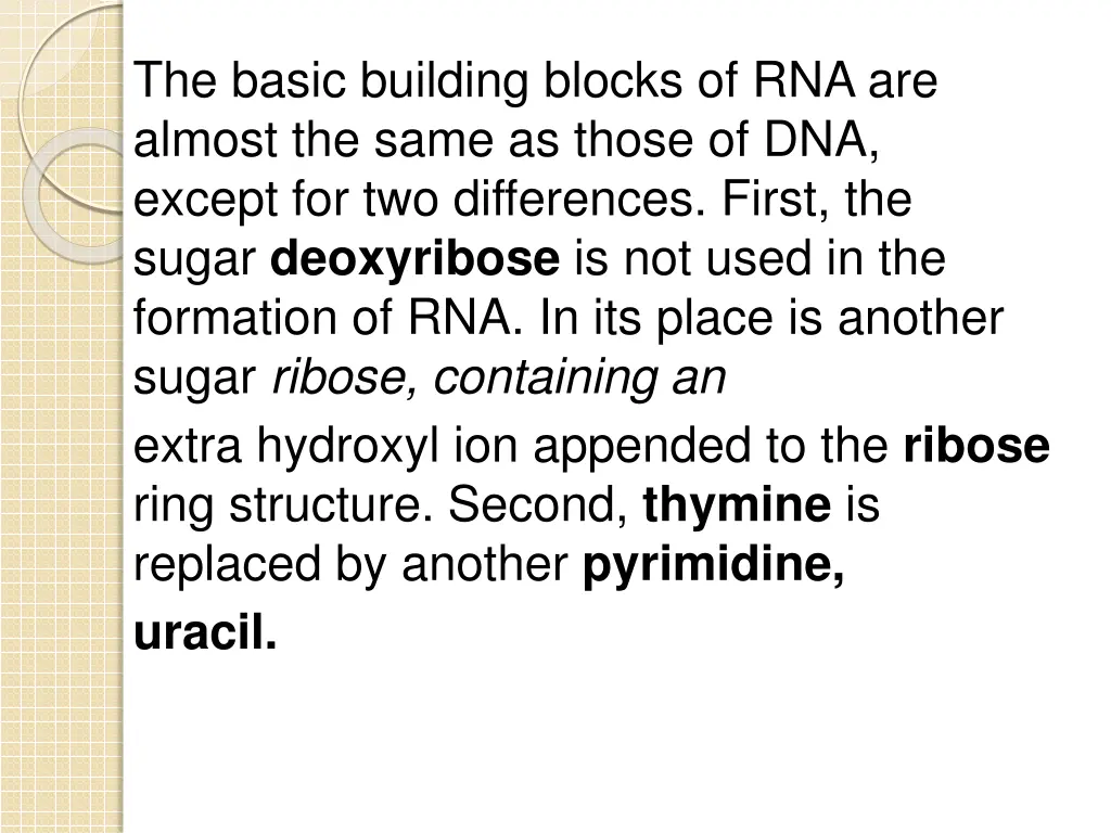 the basic building blocks of rna are almost