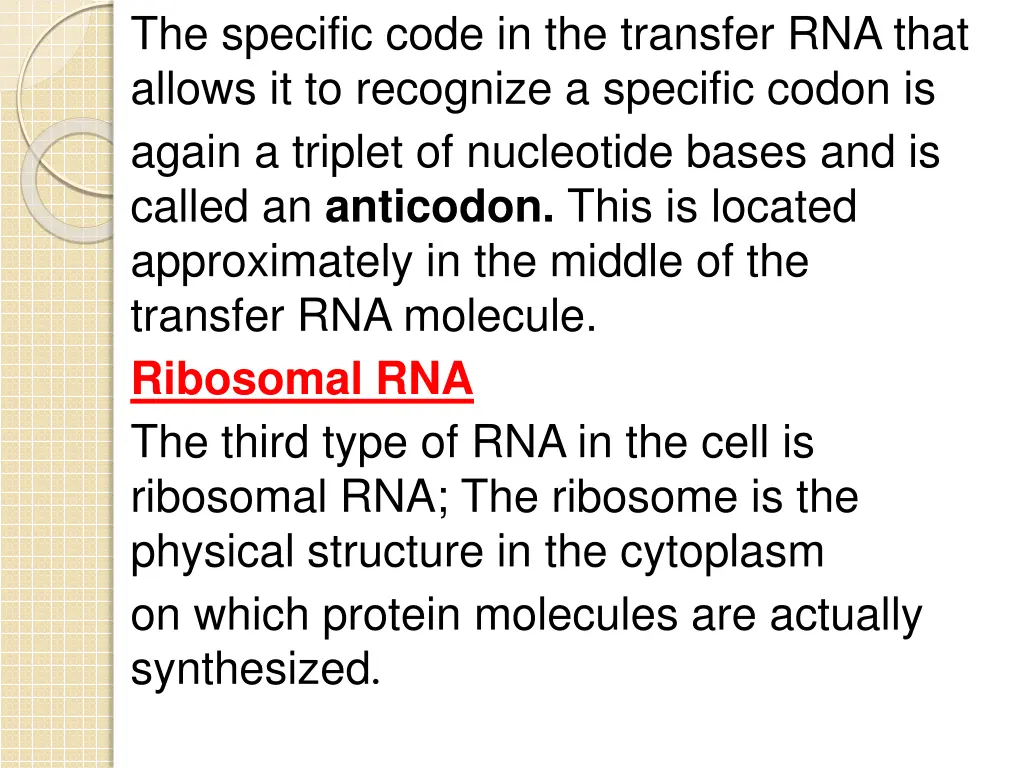 the specific code in the transfer rna that allows