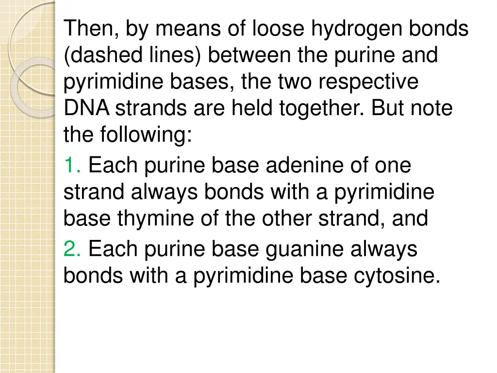 then by means of loose hydrogen bonds dashed