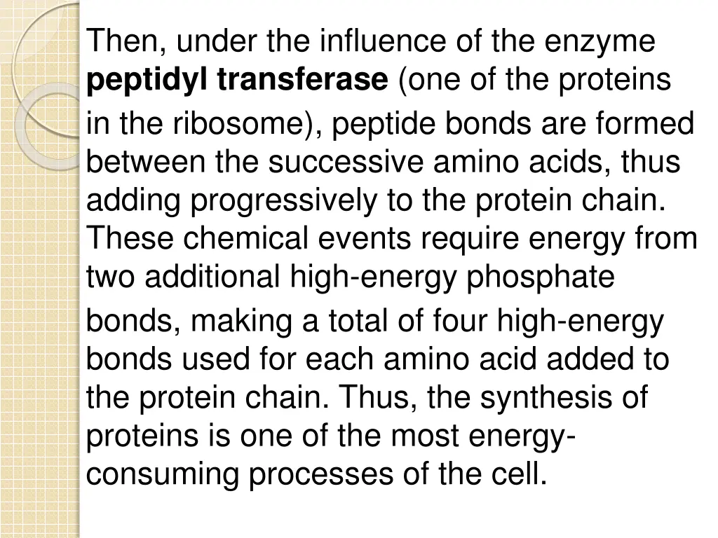 then under the influence of the enzyme peptidyl