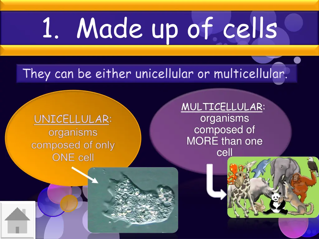 1 made up of cells