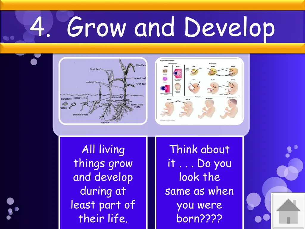 4 grow and develop